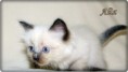 /album/aliz/aliz-6-hetes-003-jpg/
